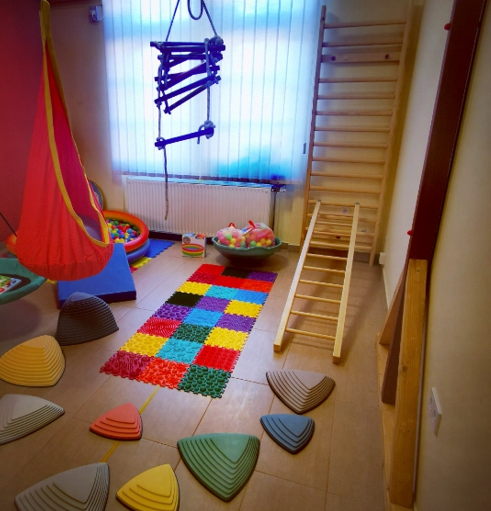 Borsószem Fogyatékkal Élő Gyermekekért Alapítvány - Kecskemét - Bács-Kiskun