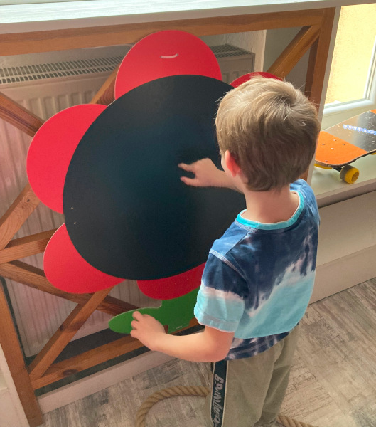 Zonta alapítvány a mozgássérült gyermekekért - Szombathely - Vas